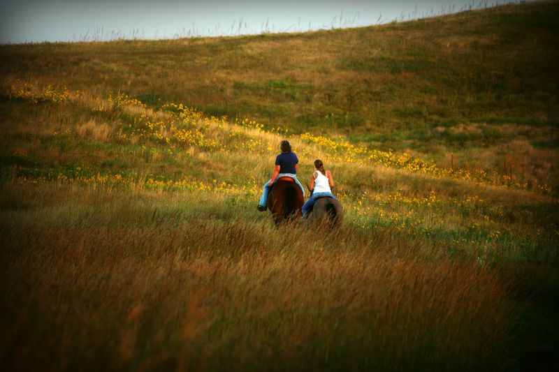 Glacial Lakes State Park (Starbuck)
