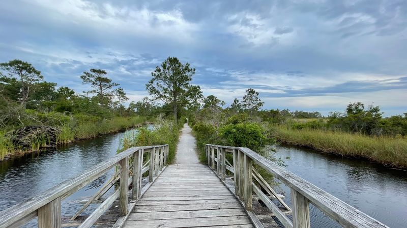 Fort Pickens Campground (Pensacola Beach)