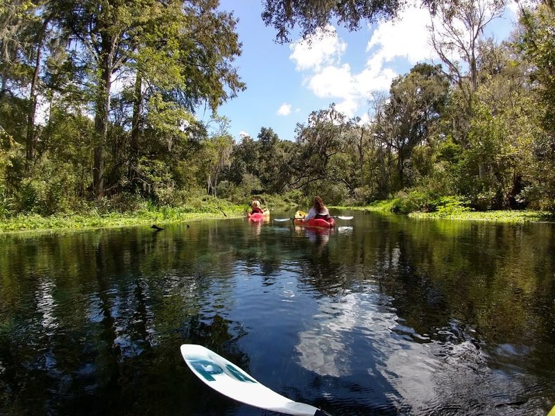 Kayaking and Special Paddles at Sunset