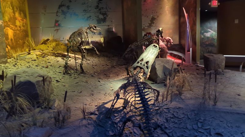 Why the Gray Fossil Site Is Worth Visiting for All Ages