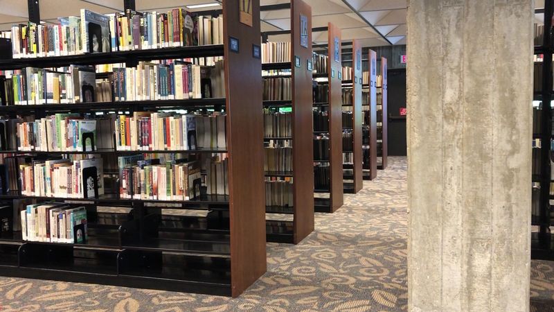 Massive Media Collection Beyond Just Traditional Books
