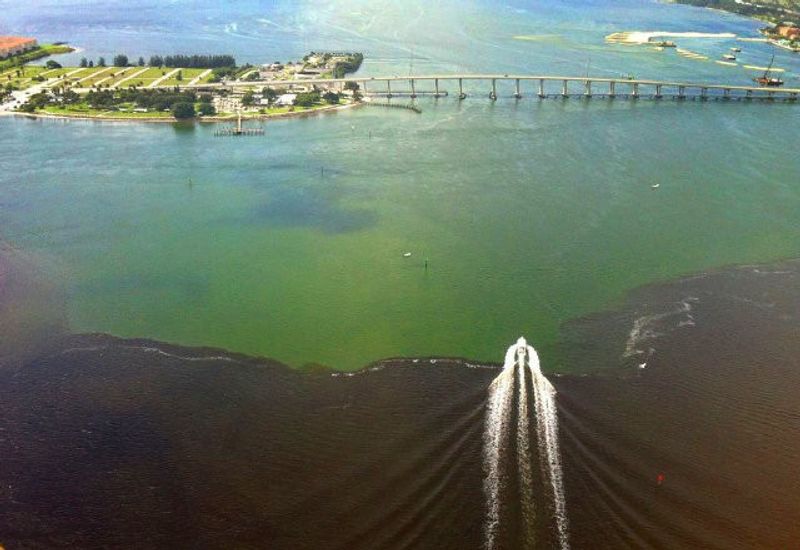 Water Releases Are Poisoning Coastal Rivers and Estuaries