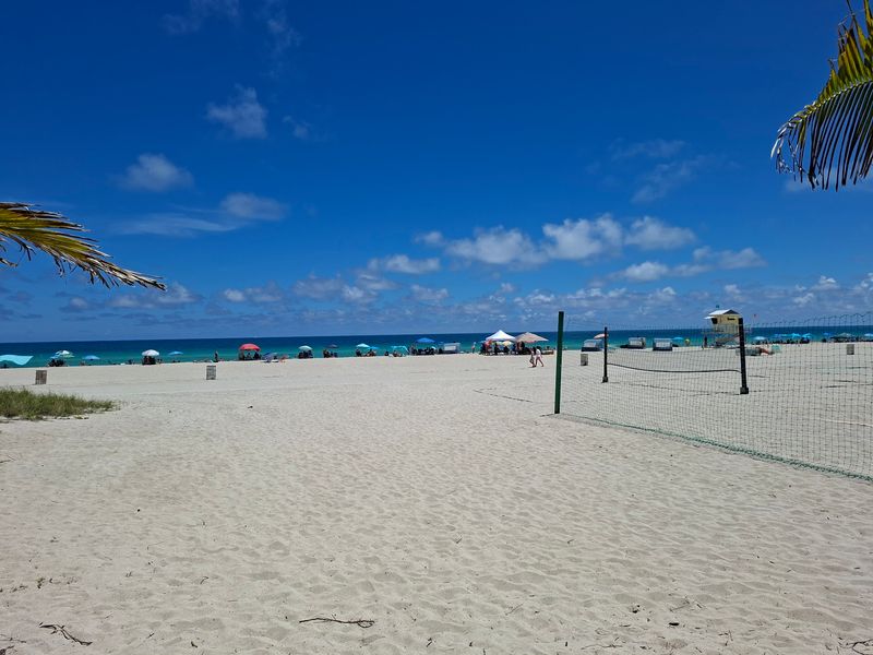 Volleyball Courts and Active Fun