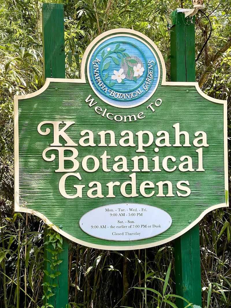 Visitor Basics: Hours, Tickets, and Helpful Tips