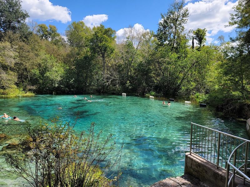 Float The Crystal-Clear Waters At Ichetucknee Springs (Fort White)