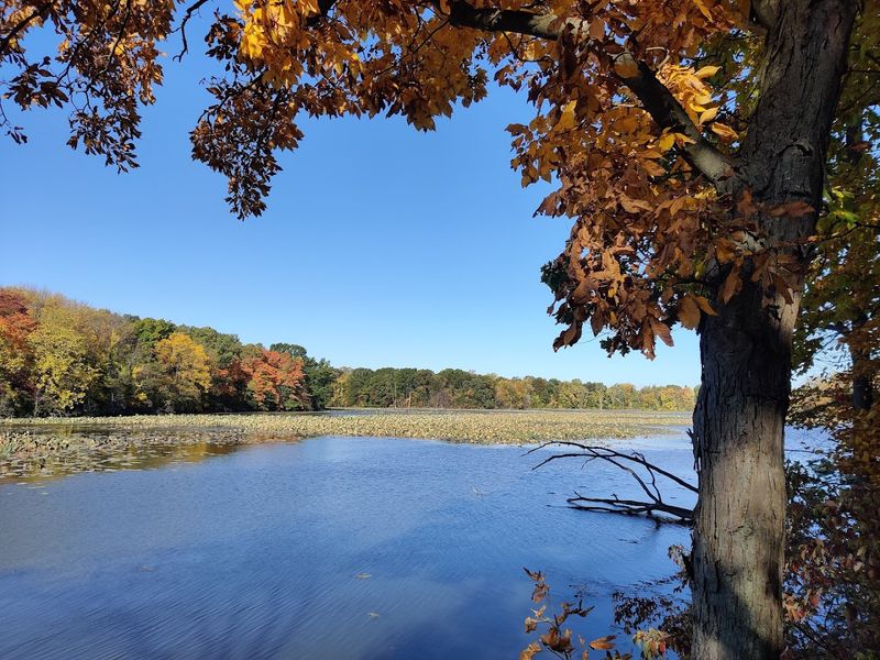Old Woman Creek State Nature Preserve, Huron, Ohio