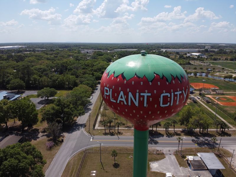 Why Plant City Chose a Strawberry