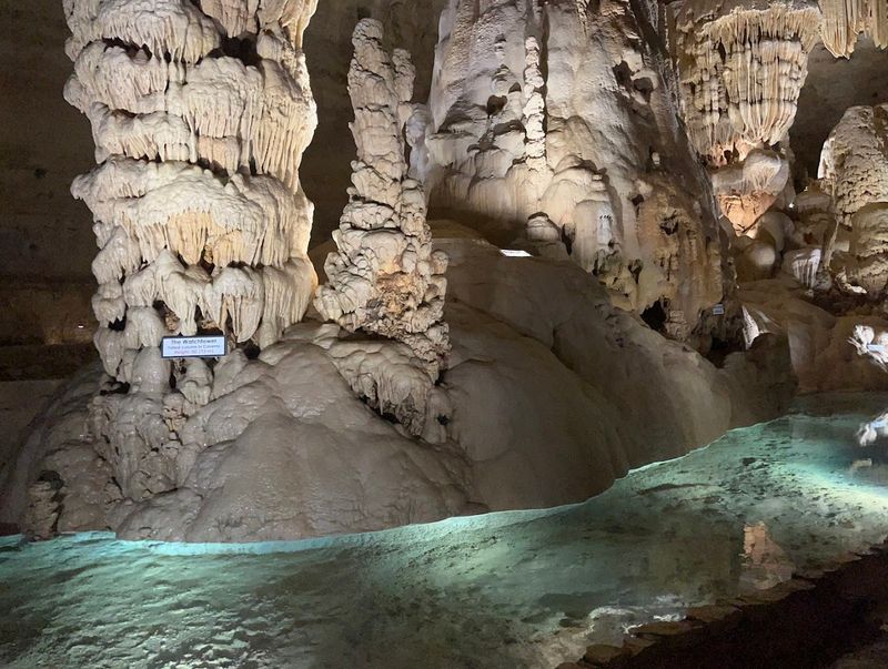 Hidden Wonders Offers a Gentler Underground Journey