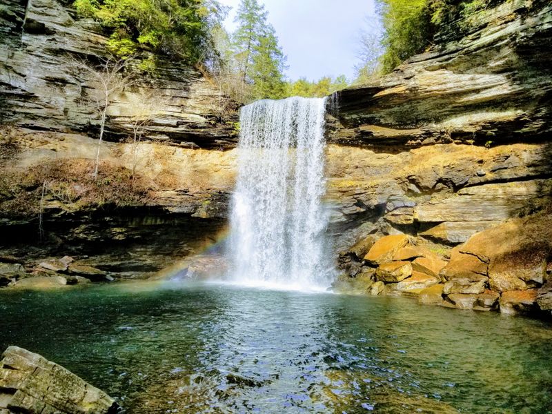 Why Savage Gulf Might Be the One Tennessee State Park You Can't Skip