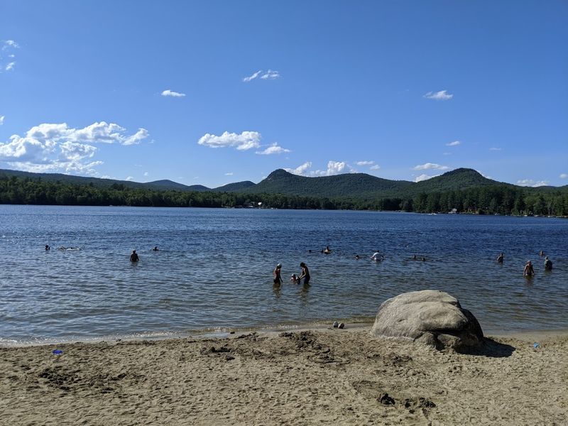 Clear Water and a Gentle Swim