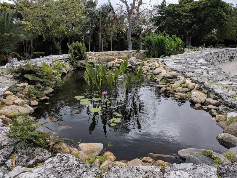 What the Garden Actually Looks Like Up Close