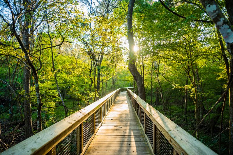 Make It a Full Day: Springs, Trails, and Nearby Stops After the Float