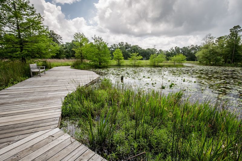 Houston Arboretum & Nature Center (Donor Boardwalk)