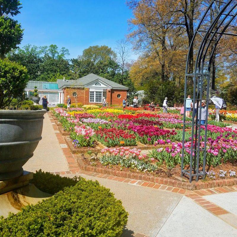 The Stunning Tulip Displays That Take Over Every Spring
