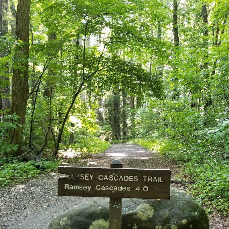 Everything to Know Before You Go