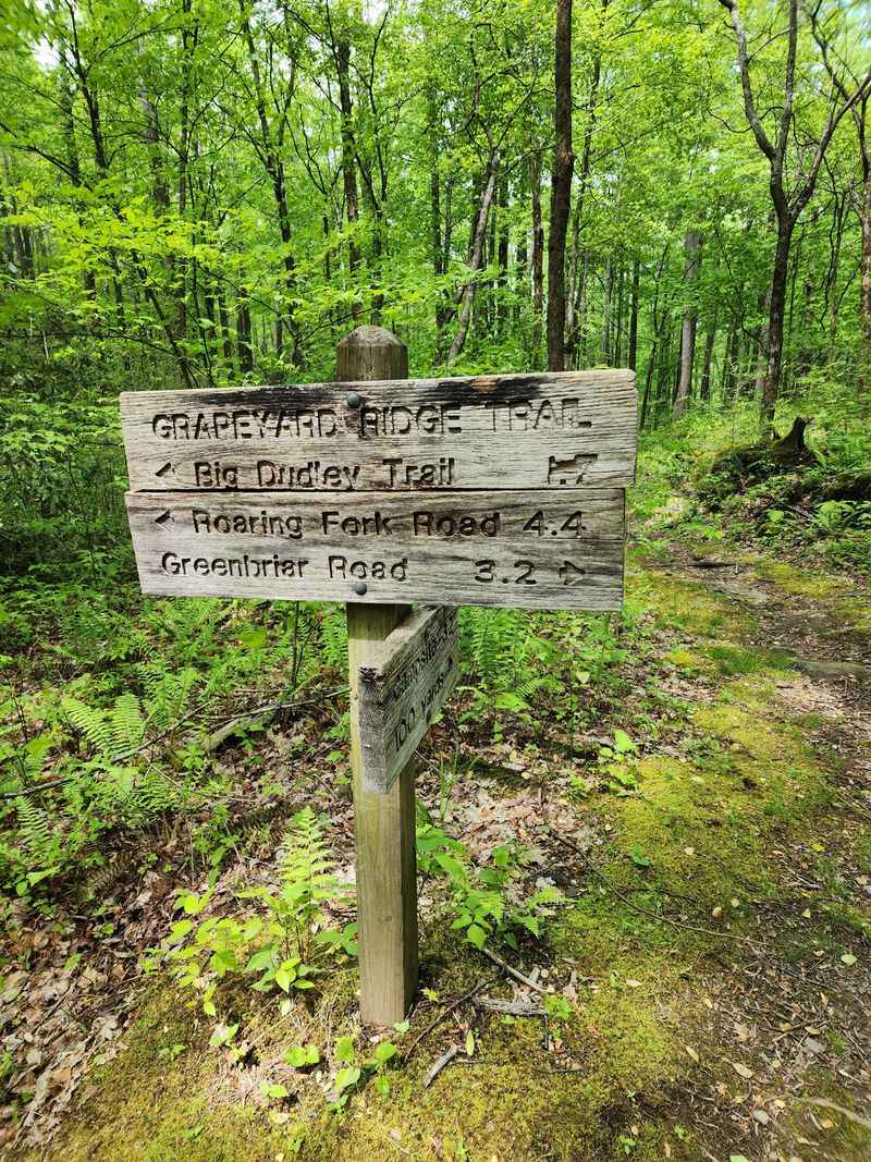 How Long Is the Grapeyard Ridge Hike?
