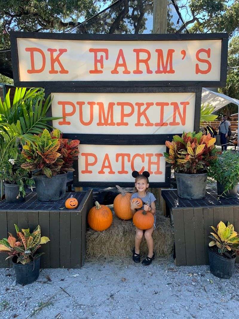 Seasonal Events, Hayrides, And Shows