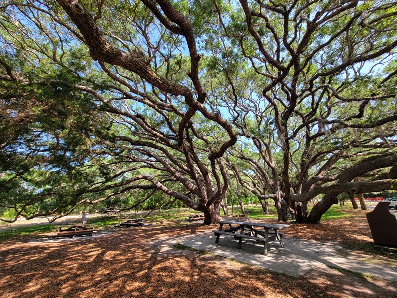 What You'll See Around the Fort and Nature Trails