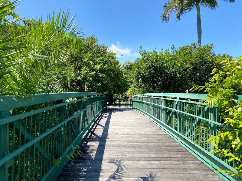 The Nature Center Connection
