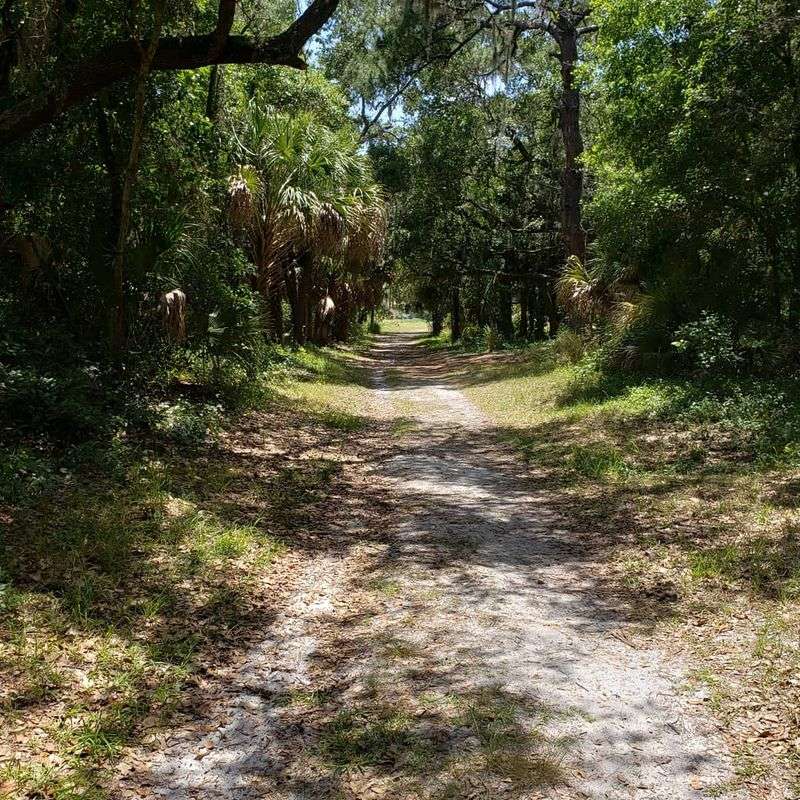 While Everyone Else Fights the Crowds, This Hidden Florida Trail Stays Peaceful