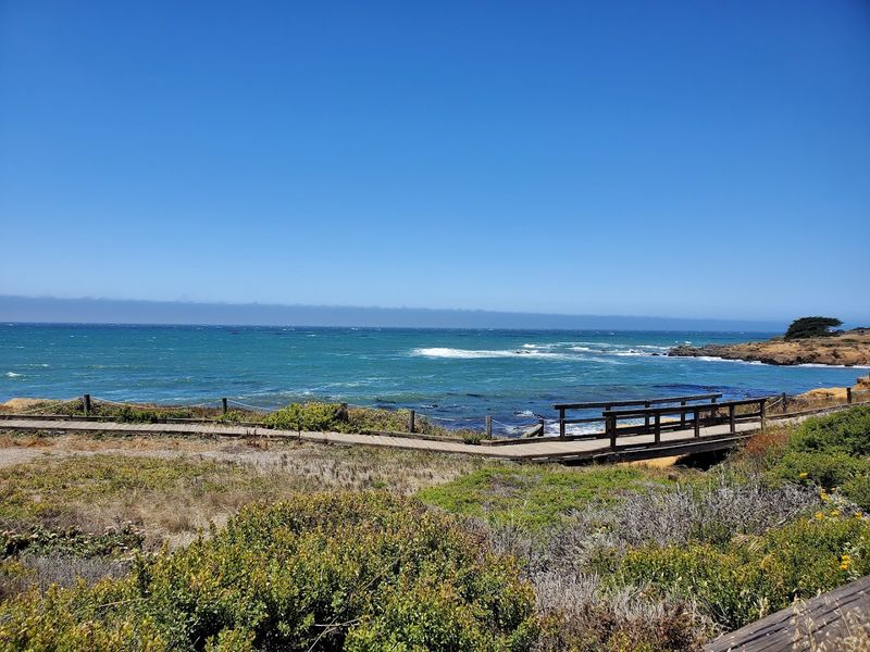 A Coastal Walk That Instantly Calms You