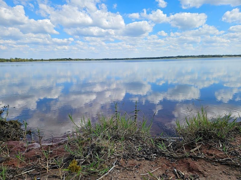 Spot Diverse Bird Species Year-Round