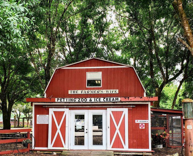 The Petting Zoo That Melts Even the Toughest Adults