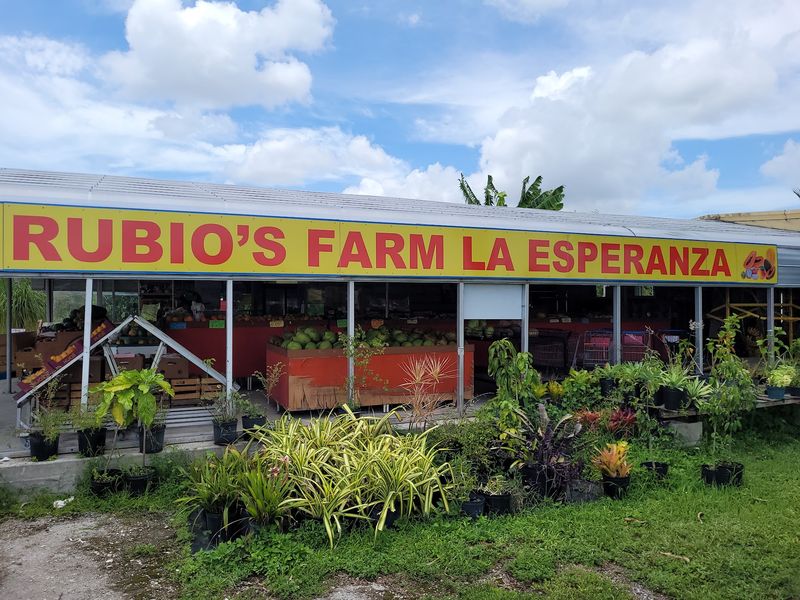 Rubio's Farm Fresh Produce