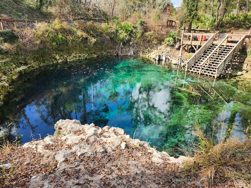 Madison Blue Spring — Lee