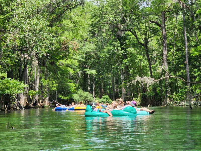 Welcome to Ichetucknee: Florida's Most Iconic River Float