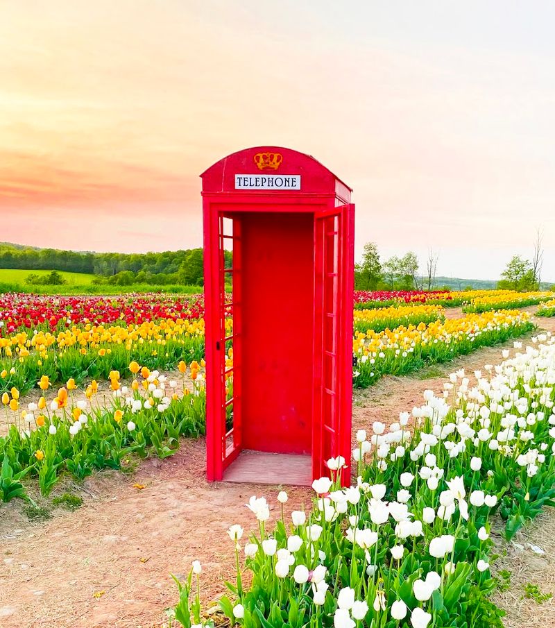 Picture perfect rows, props, and photo moments