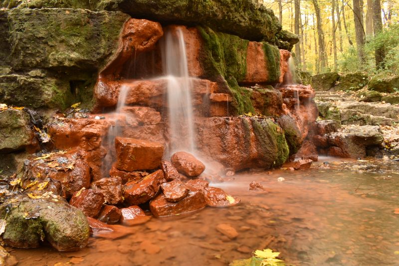 The Yellow Spring: Iron Colored Heart Of The Preserve