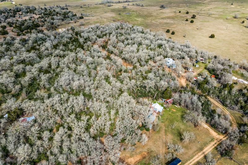 Elgin Christmas Tree Farm