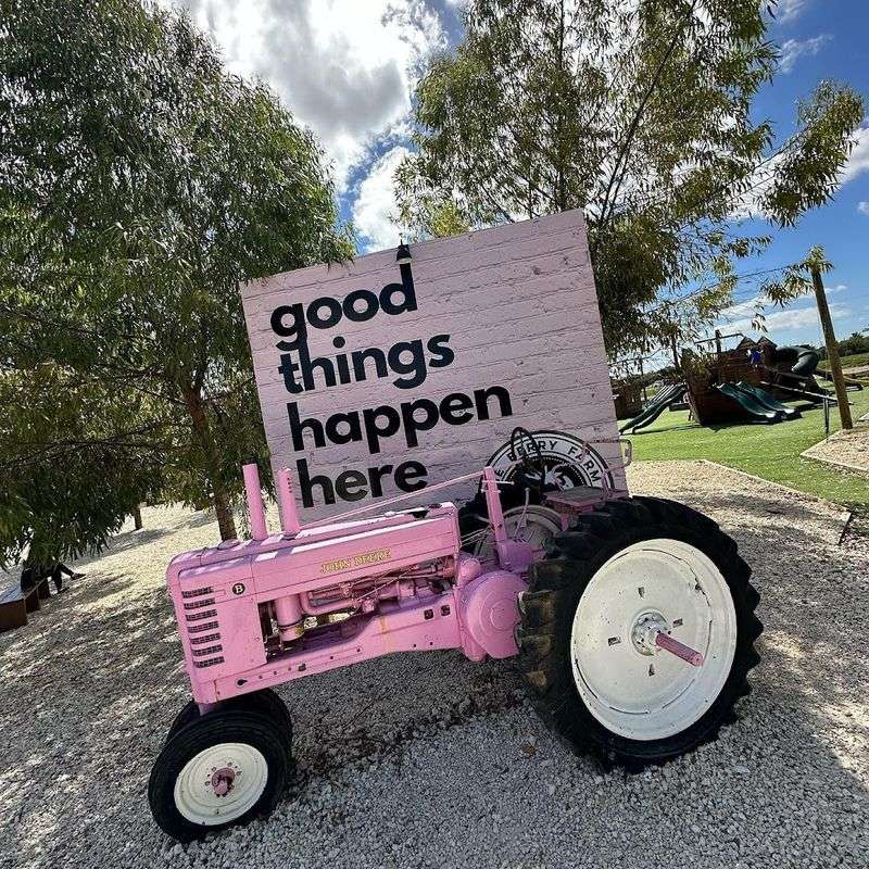 Best Photo Ops and Props