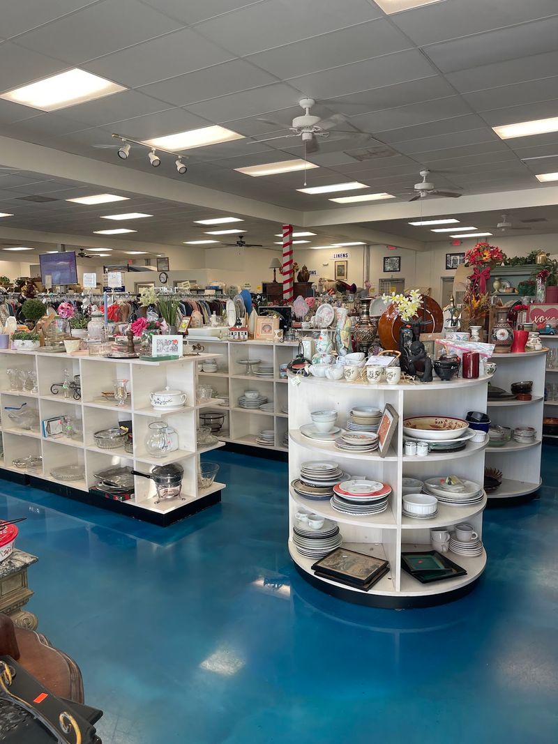 Housewares and Kitchen Items for Every Budget