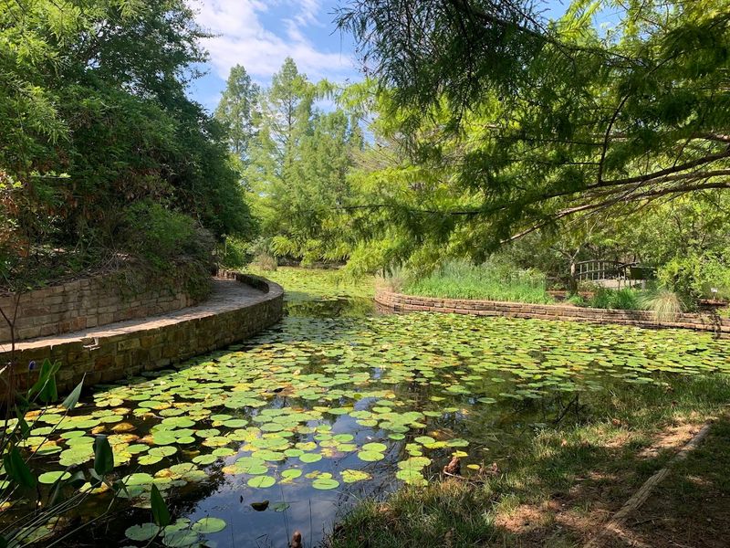 Hidden Pathways That Keep Revealing Surprises