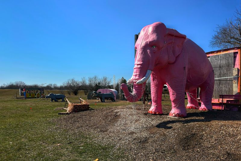 Meet the Giant Pink Elephant