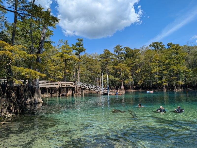 Morrison Springs County Park (Ponce de Leon)
