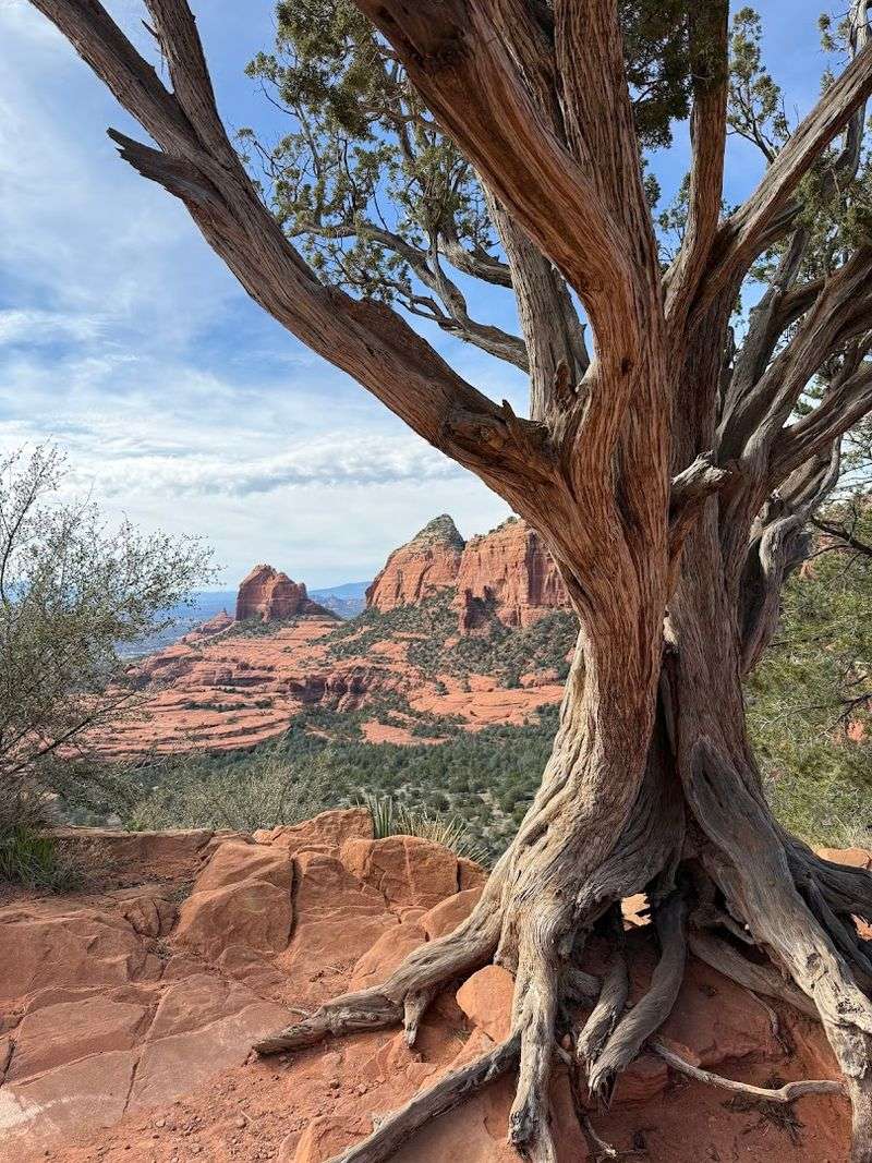 Photography Playbook: Angles, Light, and Landmarks