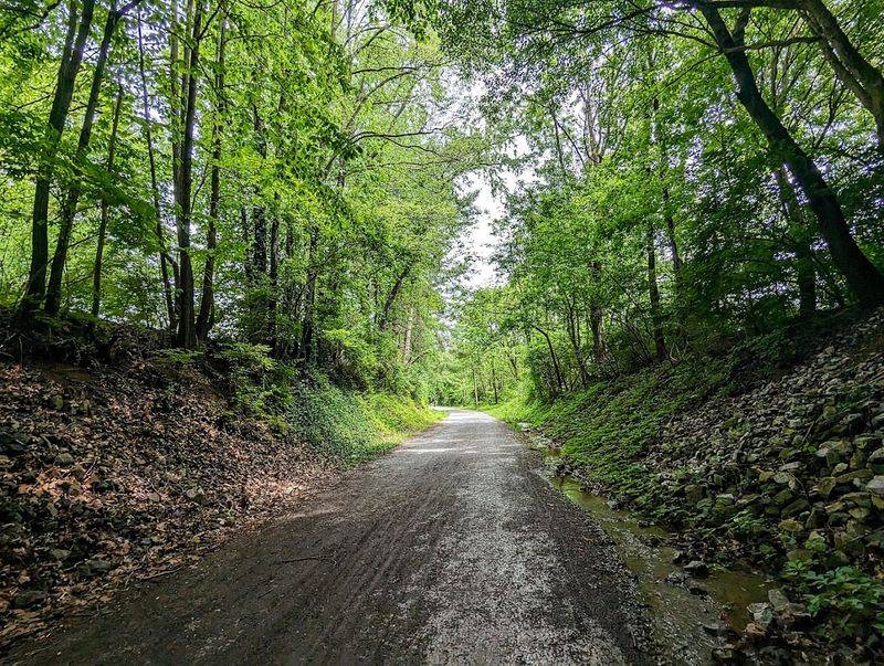 Discover the Tweetsie Trail in Northeast Tennessee