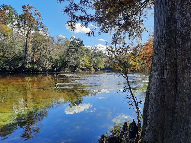 Scenic Boardwalks and Easy Park Access