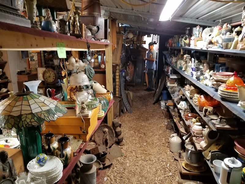 Vintage Collectibles and Unique Finds: The Thrill of the Unexpected Discovery