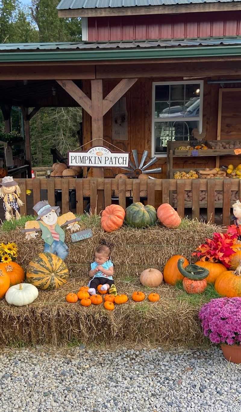 Ingram's Farm (High Point)