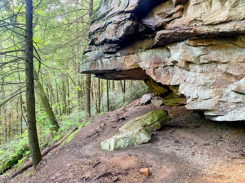 Best Trails And Photo Stops For A Memorable Visit