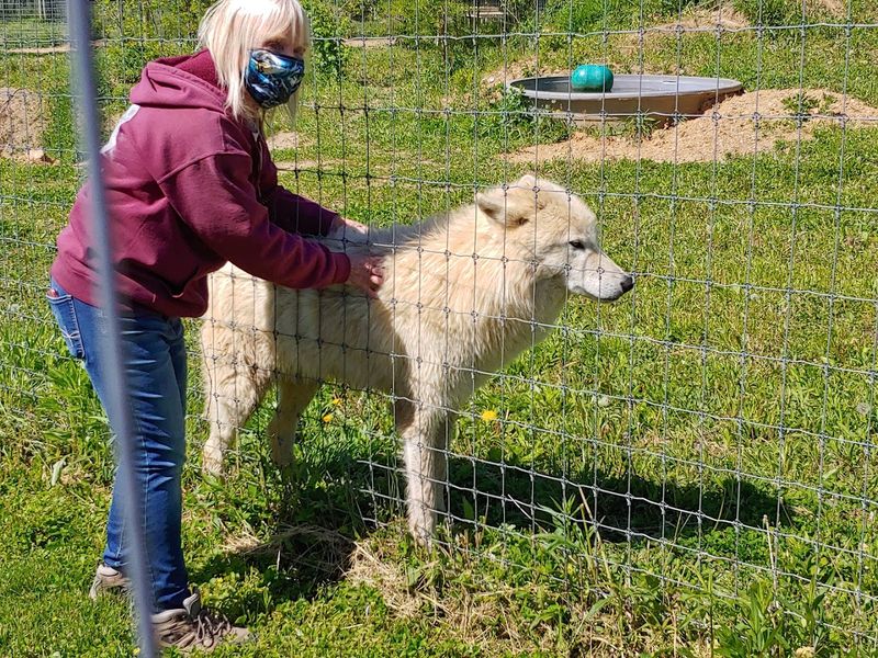 Meet The Volunteers And Guides