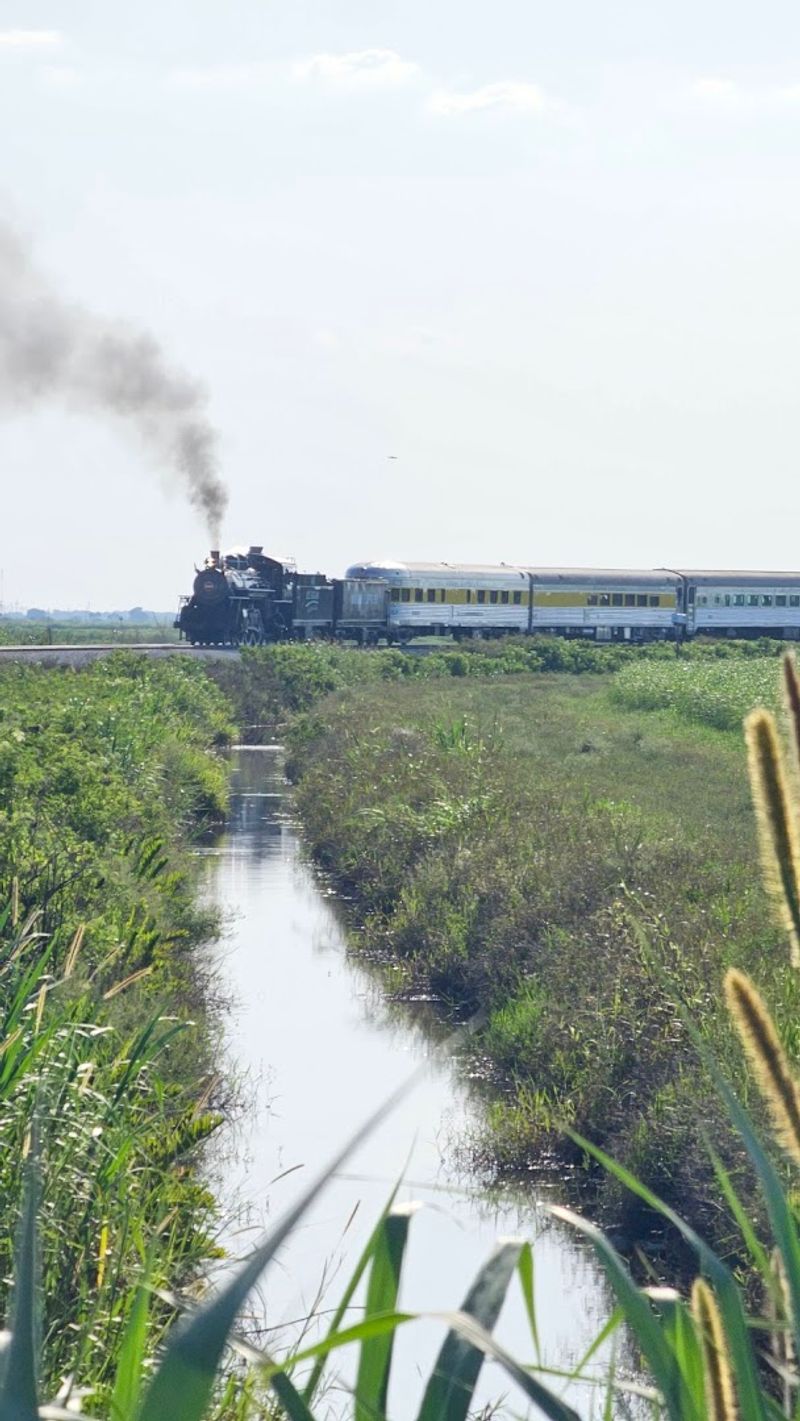 Sugarcane Fields Stretching as Far as the Eye Can See