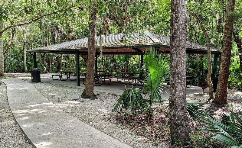 Picnic Spots, Pavilion, And Play