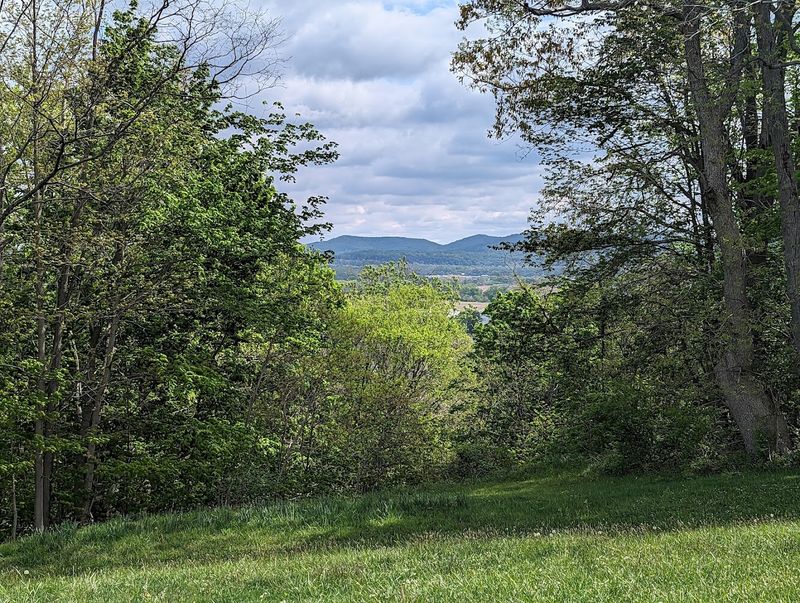 Moments That Linger: Why Adena Stays With You