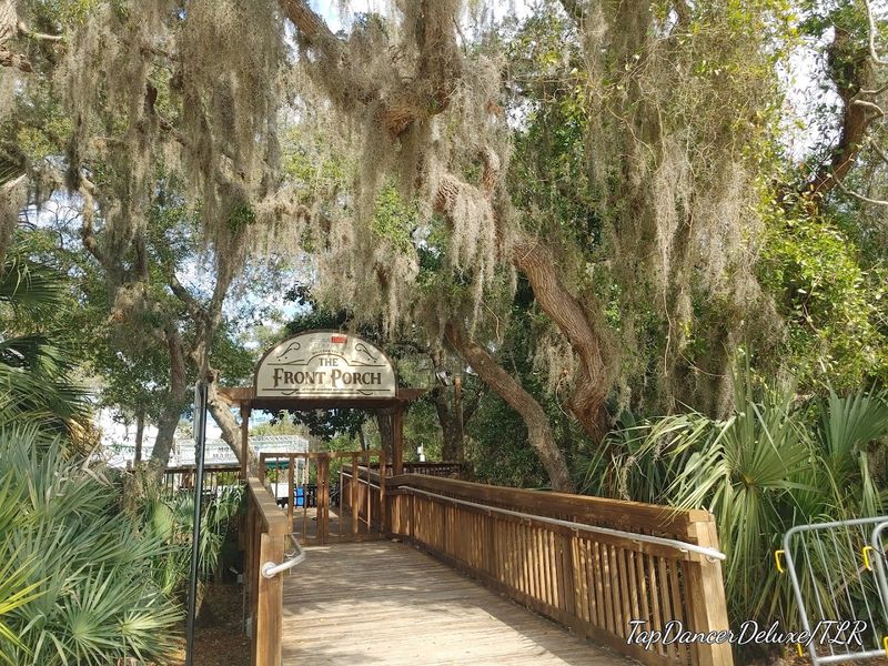 The Magical Spanish Moss Setting