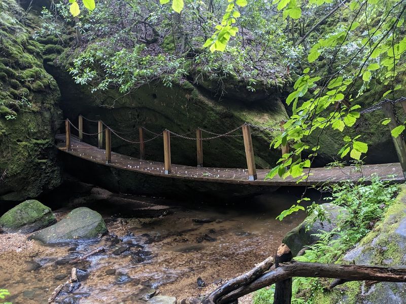 Family Friendly Game Plan